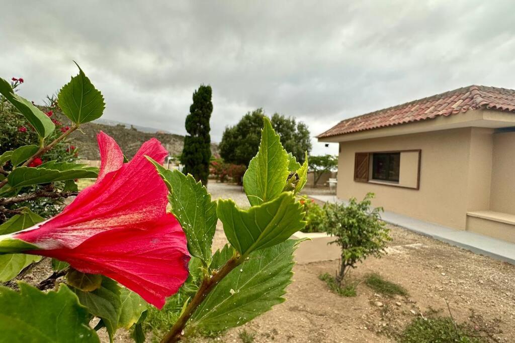 Villa Peaceful Oasis With Magical Sea Views And A Pool Santa Cruz de Tenerife Exterior foto